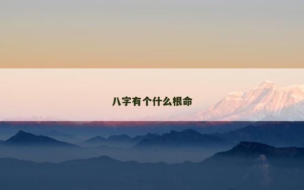 八字有個什么根命