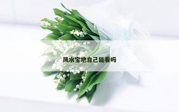風水寶地自己能看嗎