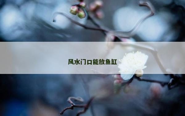 風水門口能放魚缸