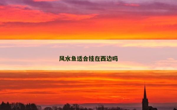 風水魚適合掛在西邊嗎
