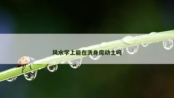 風水學上能在洗身房動土嗎