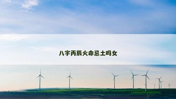 八字丙辰火命忌土嗎女