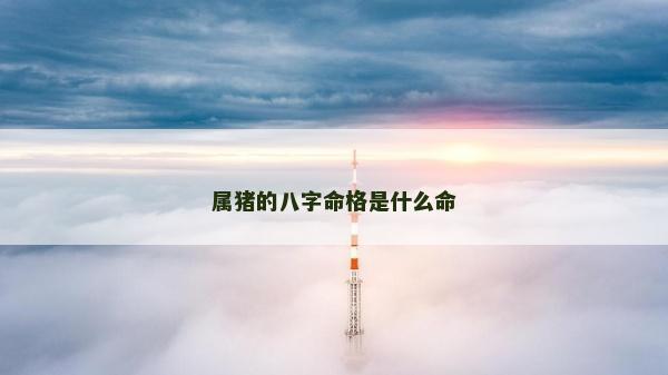 屬豬的八字命格是什么命