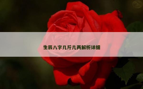 生辰八字幾斤幾兩解析詳細(xì)