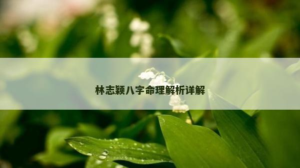 林志穎八字命理解析詳解