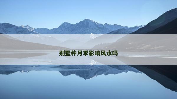 別墅種月季影響風水嗎