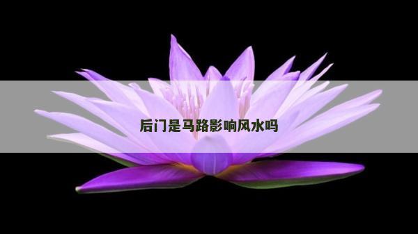 后門(mén)是馬路影響風(fēng)水嗎