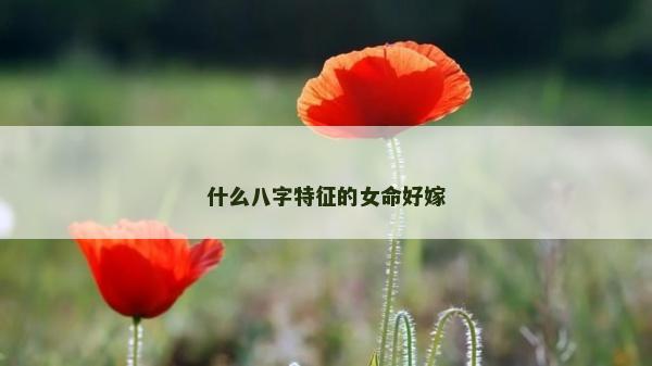什么八字特征的女命好嫁