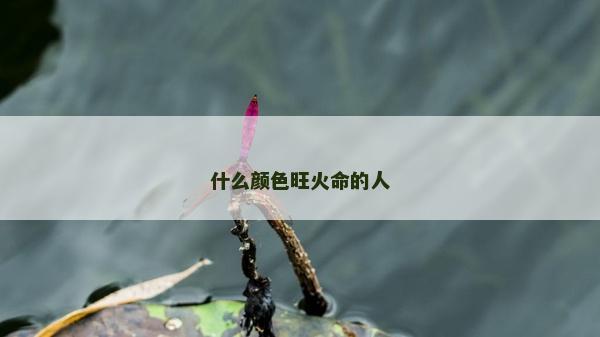 什么顏色旺火命的人