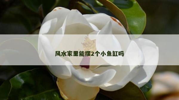 風(fēng)水家里能擺2個小魚缸嗎 風(fēng)水家里能擺2個小魚缸嗎