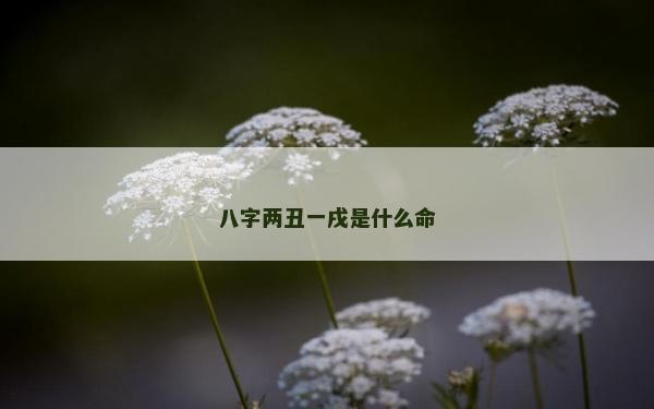 八字兩丑一戌是什么命