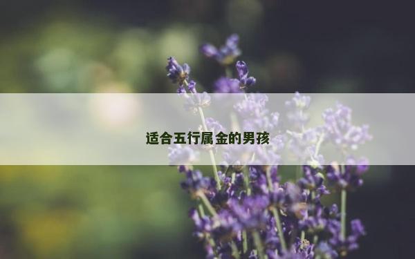 適合五行屬金的男孩