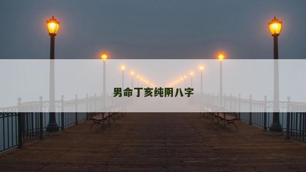 男命丁亥純陰八字