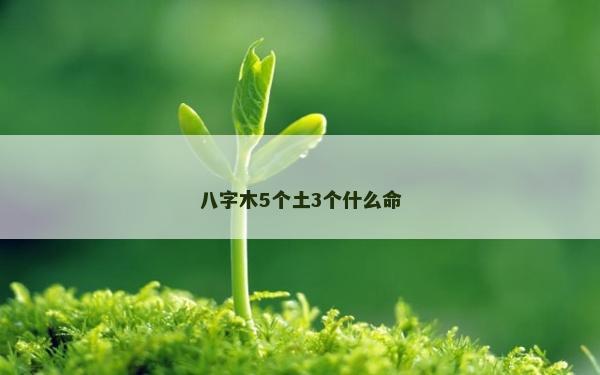 八字木5個土3個什么命