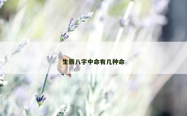 生辰八字中命有幾種命