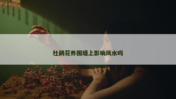 杜鵑花養圍墻上影響風水嗎