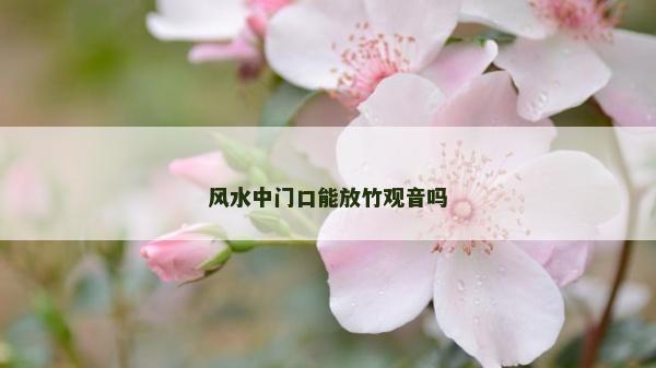 風(fēng)水中門口能放竹觀音嗎
