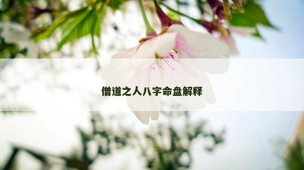 僧道之人八字命盤解釋