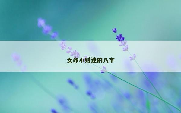 女命小財迷的八字