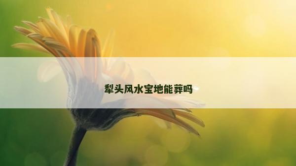 犁頭風(fēng)水寶地能葬嗎