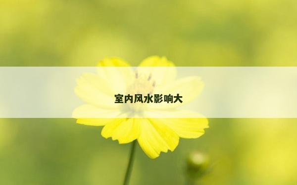 室內風水影響大