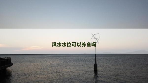 風水水位可以養魚嗎