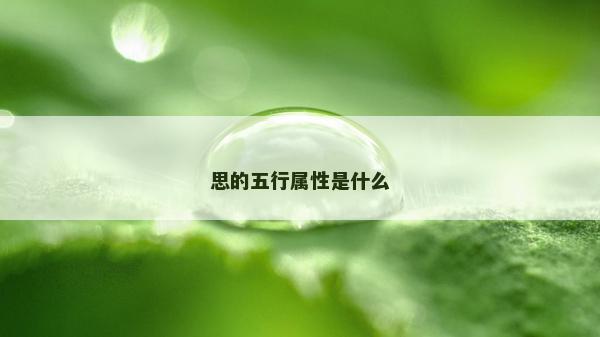 思的五行屬性是什么