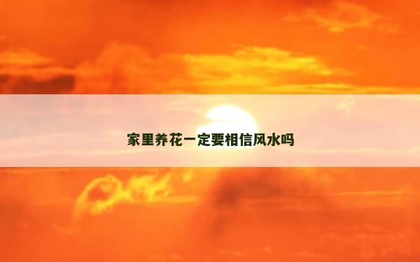 家里養花一定要相信風水嗎