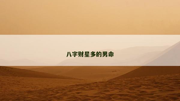八字財星多的男命