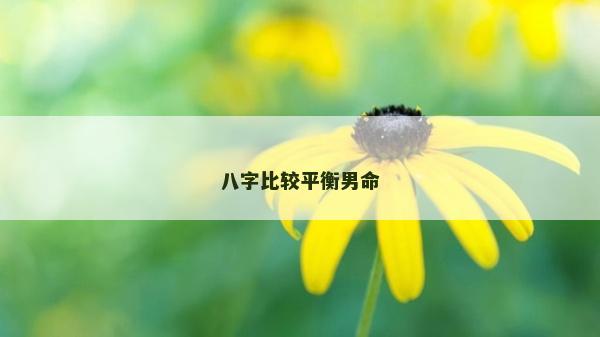 八字比較平衡男命