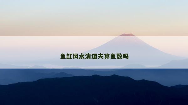 魚缸風(fēng)水清道夫算魚數(shù)嗎