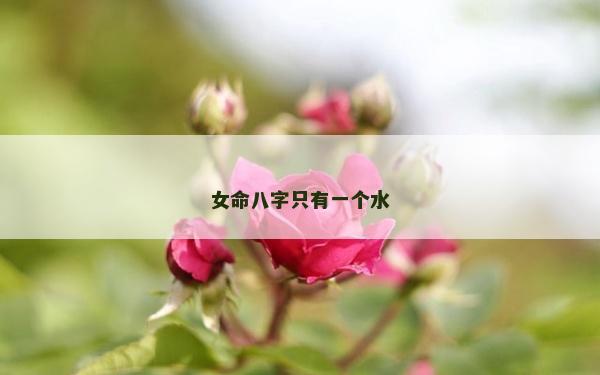 女命八字只有一個水