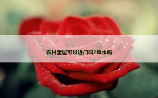 農村堂屋可以進門嗎?風水嗎 農村堂屋可以進門嗎?風水嗎