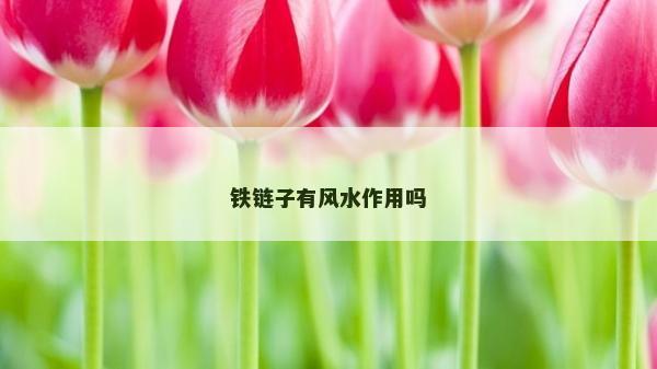鐵鏈子有風水作用嗎