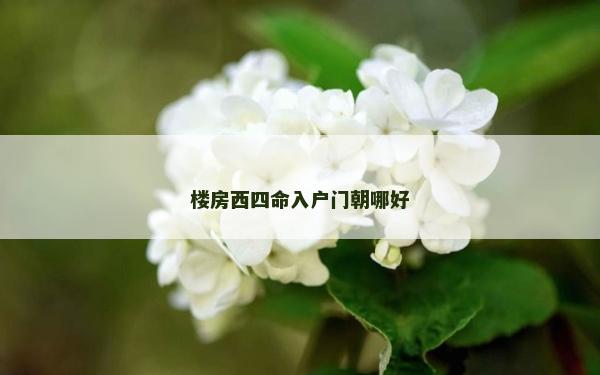 樓房西四命入戶門朝哪好