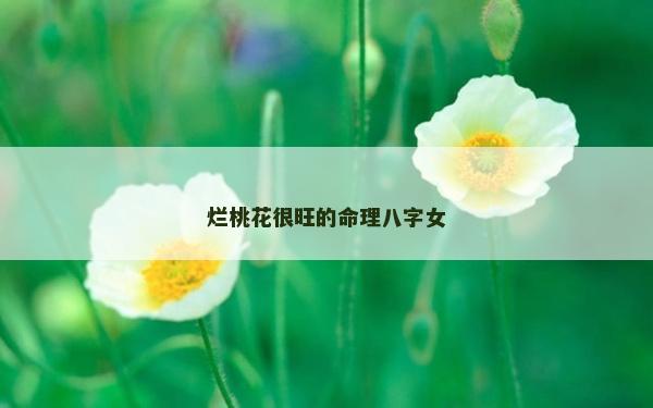爛桃花很旺的命理八字女