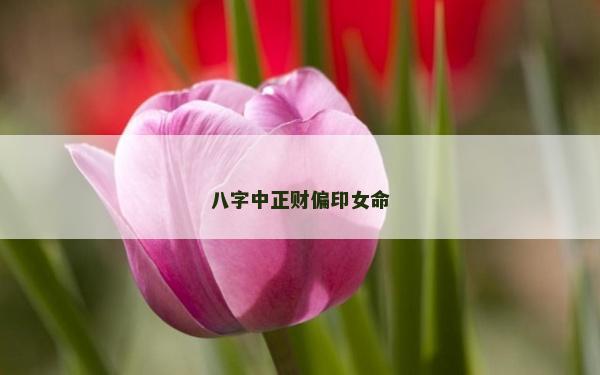 八字中正財偏印女命