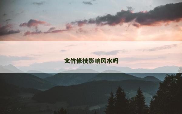 文竹修枝影響風水嗎