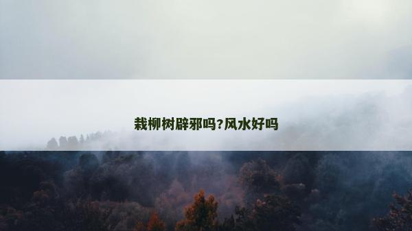 栽柳樹辟邪嗎?風(fēng)水好嗎