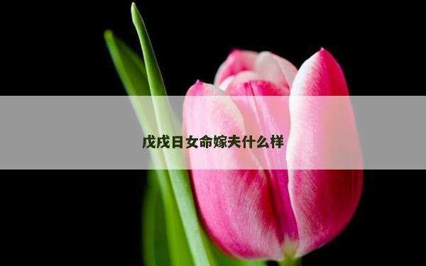 戊戌日女命嫁夫什么樣
