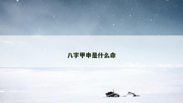 八字甲申是什么命