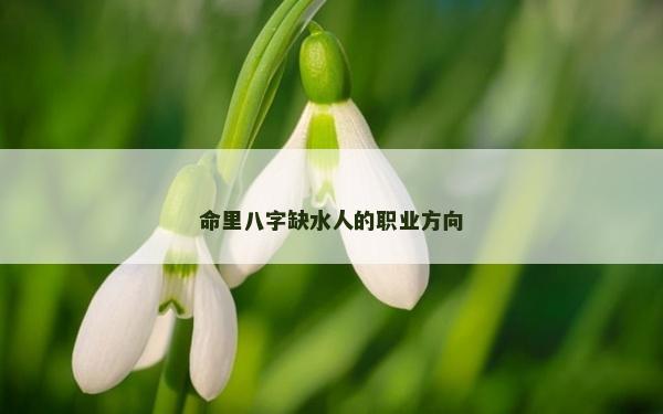 命里八字缺水人的職業(yè)方向