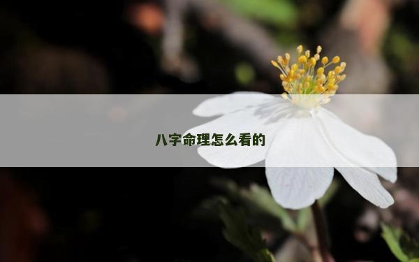 八字命理怎么看的
