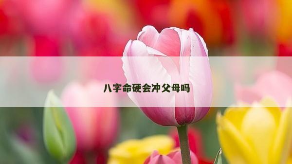 八字命硬會沖父母嗎