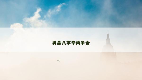 男命八字辛丙爭合 男命八字辛丙爭合
