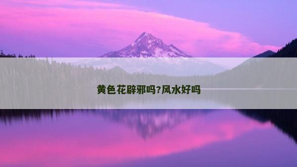 黃色花辟邪嗎?風水好嗎