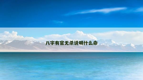 八字有官無殺說明什么命
