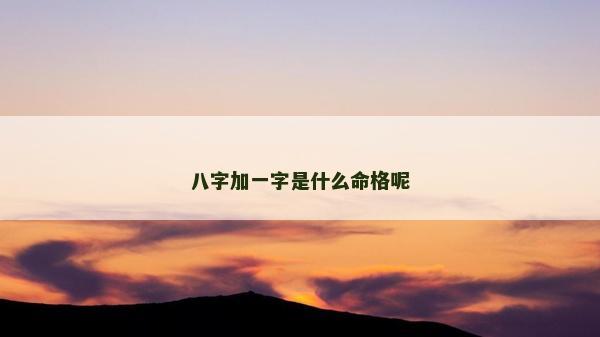 八字加一字是什么命格呢 八字加一字是什么命格呢