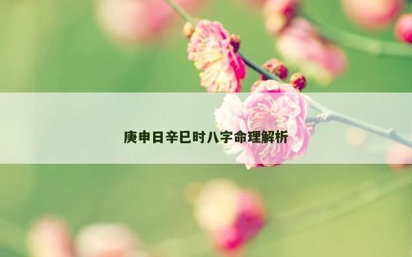 庚申日辛巳時八字命理解析