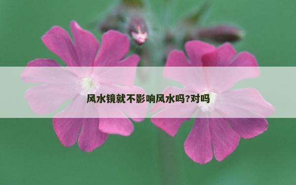 風水鏡就不影響風水嗎?對嗎